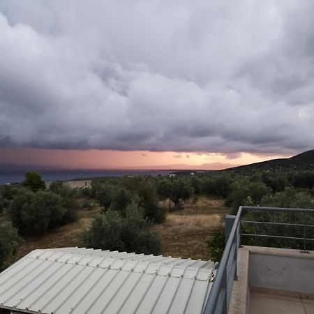 Panoramic View Summerhouse Loukissia Экстерьер фото