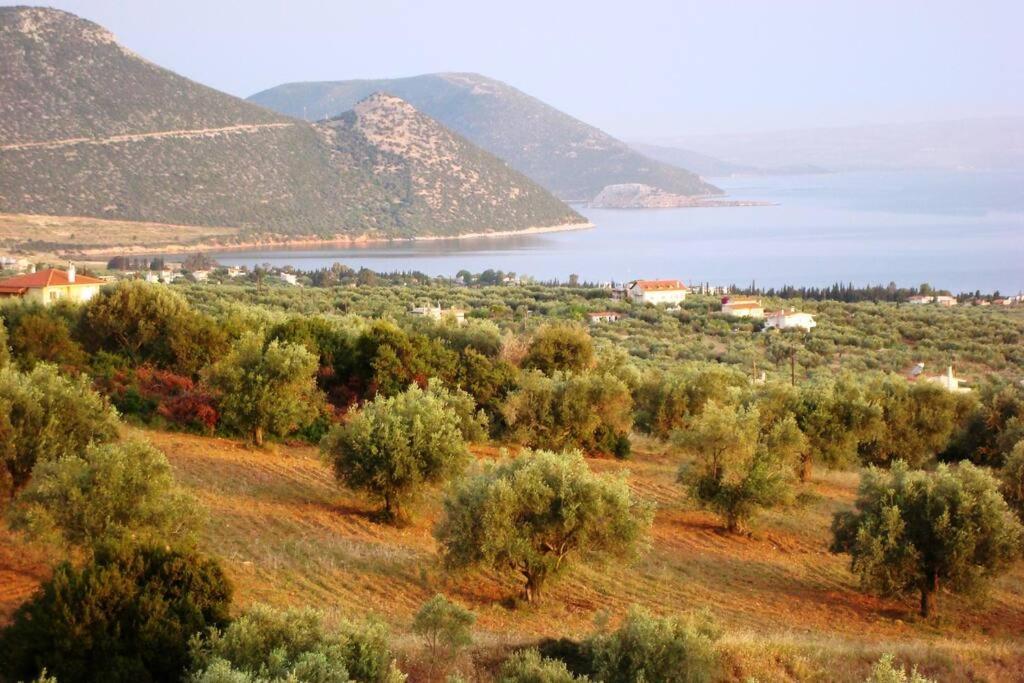 Panoramic View Summerhouse Loukissia Экстерьер фото